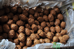 咸鴨蛋腌多久可以吃？咸鴨蛋怎么腌制好吃？