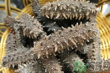 一天中海參什么時(shí)候吃最好？吃海參的最佳時(shí)間