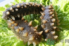 孕婦能吃海參嗎？孕婦吃海參的好處