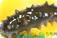 孕婦能吃海參嗎？孕婦吃海參的好處