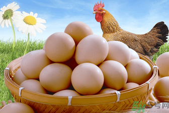 土雞蛋怎么辨別？怎么辨別土雞蛋的真假？