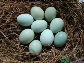 烏雞蛋多少錢一斤？烏雞蛋多少錢一個？