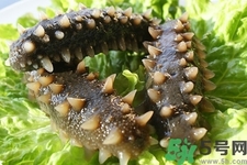 海參的簡(jiǎn)單家常做法有哪些？海參的不同吃法