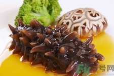 海參的簡(jiǎn)單家常做法有哪些？海參的不同吃法