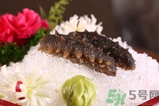 海參什么季節(jié)吃最好?最有營養(yǎng)呢 海參什么季節(jié)吃最好?最有營養(yǎng)呢