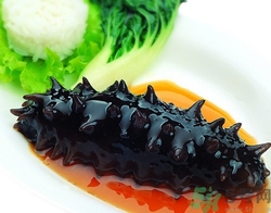 吃海參會過敏嗎?吃海參過敏什么癥狀