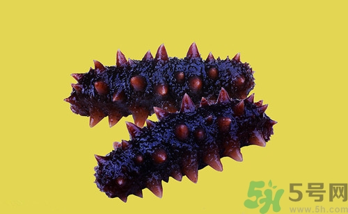 吃海參會過敏嗎?吃海參過敏什么癥狀