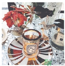 diptyque飛鳥燭臺多少錢？diptyque飛鳥燭臺哪里買？