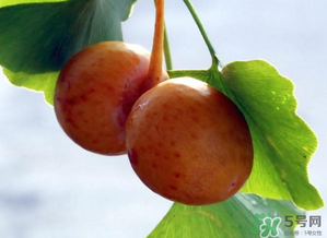 白果可以生吃嗎？白果怎么吃？