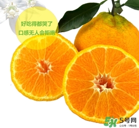 丑橘什么時候成熟？丑橘的功效