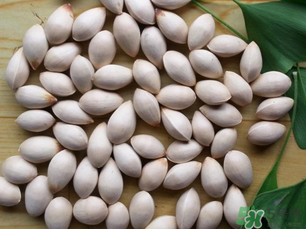 白果發(fā)霉了還能吃嗎？白果發(fā)霉了怎么處理？