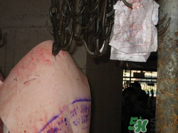 豬皮上的印章如何去除？豬肉上的印章怎么去掉？