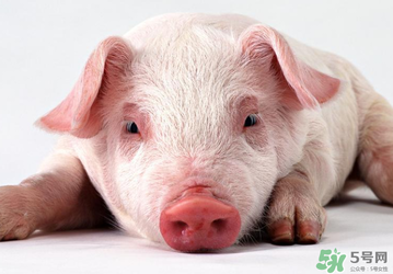 豬皮上的毛怎么去掉？豬皮上的毛能吃嗎？