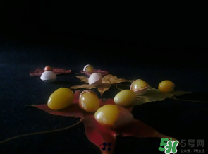 白果可以放微波爐嗎？白果放微波爐轉(zhuǎn)幾分鐘？