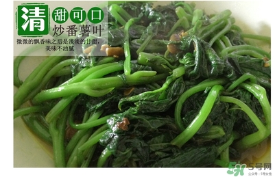 紅薯葉哺乳期可以吃嗎？紅薯葉產(chǎn)婦可以吃嗎？