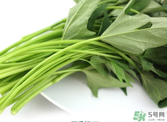 紅薯葉不能和什么一起吃？紅薯葉什么不能吃？