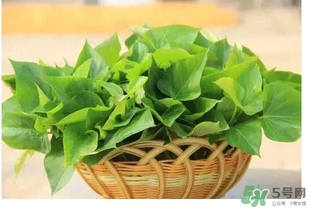 紅薯葉不能和什么一起吃？紅薯葉什么不能吃？