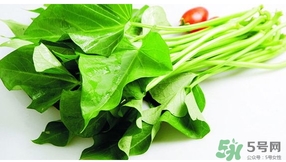 紅薯葉不能和什么一起吃？紅薯葉什么不能吃？