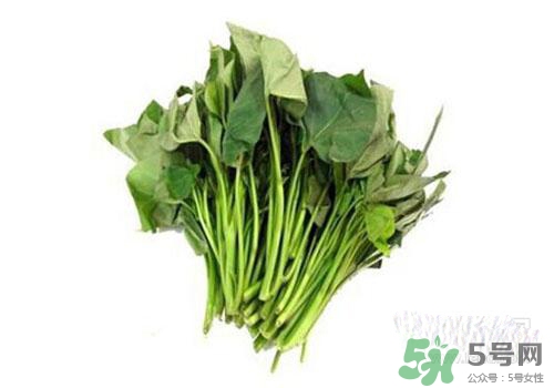 紅薯葉吃多了好嗎？紅薯葉吃多了會怎樣？