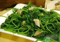 紅薯葉吃多了好嗎？紅薯葉吃多了會怎樣？