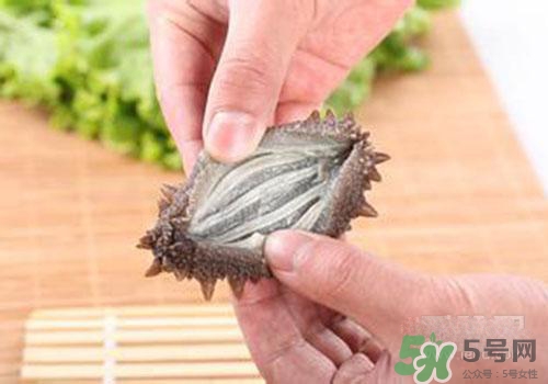 海參肚子里的筋能吃嗎？海參肚子里的筋吃了有什么作用？