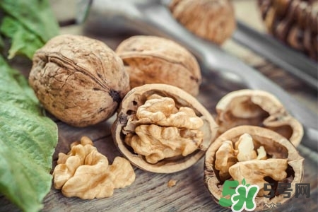 核桃能天天吃嗎？孕婦核桃一天吃幾個(gè)最好？
