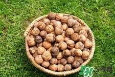 核桃一天什么時(shí)候吃最好？吃核桃有啥講究嗎？