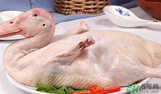 鴨肉可以放冰箱嗎？鴨肉放冰箱能保鮮多久？