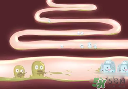 益生菌可以長期吃嗎？益生菌什么時候吃比較好？