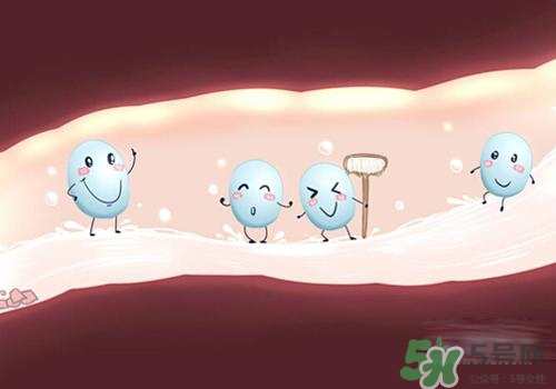 益生菌可以長期吃嗎？益生菌什么時候吃比較好？