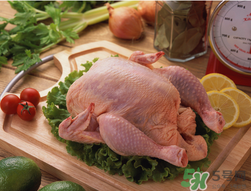 雞肉放冰箱可以放多久？雞肉放在保鮮能放多久？