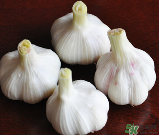 2017年大蒜多少錢一斤？2017年大蒜價格預測