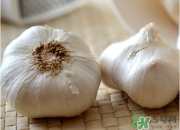 2017年大蒜多少錢一斤？2017年大蒜價格預測