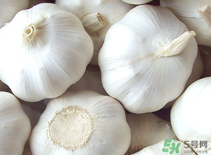 2017年大蒜多少錢一斤？2017年大蒜價格預測