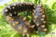 腎虛能吃海參嗎？吃海參對(duì)腎好嗎？