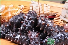 腎虛能吃海參嗎？吃海參對(duì)腎好嗎？