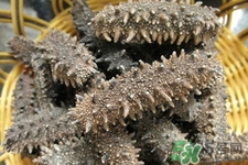 新鮮海參和干海參哪種更好？海參的品種有哪些？