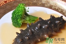 新鮮海參和干海參哪種更好？海參的品種有哪些？