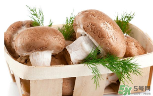 鮮香菇怎么保存？鮮香菇怎么保存時間長？