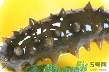 怎樣鑒別新鮮海參的好壞？干海參如何鑒別真假