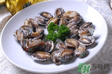 鮑魚能冷凍嗎？鮑魚可以放冰箱冷藏嗎？