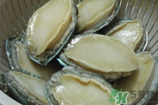 鮑魚死后可以放幾天？鮑魚死后多久不能吃？