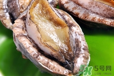 新鮮鮑魚(yú)可以放多久？活鮑魚(yú)怎樣存放時(shí)間更長(zhǎng)？