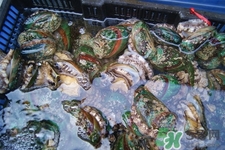 男人吃鮑魚能補(bǔ)腎嗎？腎虛能吃鮑魚嗎？