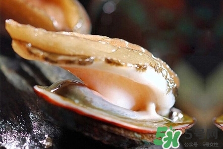 鮑魚一次最多吃幾個？鮑魚吃多了有什么不好的？