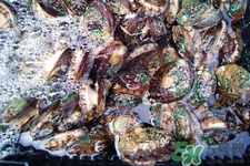 女人吃鮑魚有什么好處嗎？女人經(jīng)期能吃鮑魚嗎？