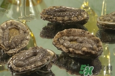 吃鮑魚(yú)要注意些什么？吃鮑魚(yú)會(huì)過(guò)敏嗎？