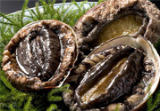女人吃鮑魚有什么好處嗎？女人經(jīng)期能吃鮑魚嗎？