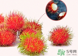 紅毛丹可以放冰箱保存嗎?紅毛丹能放冰箱保存幾天? 紅毛丹可以放冰箱保存嗎?紅毛丹能放冰箱保存幾天?