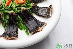 吃蛇肉有什么好處?蛇肉的營(yíng)養(yǎng)價(jià)值及功效 吃蛇肉有什么好處?蛇肉的營(yíng)養(yǎng)價(jià)值及功效